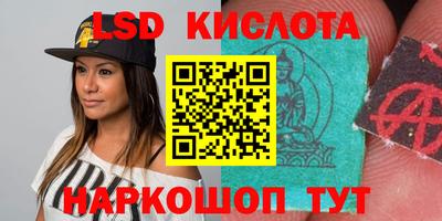 прущие грибы Кимры