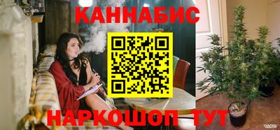 шишки Шелехов
