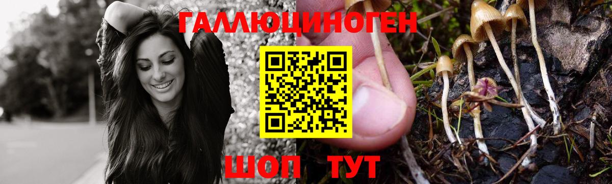 Псилоцибиновые грибы MAGIC MUSHROOMS  Вход с VPN  Костомукша 