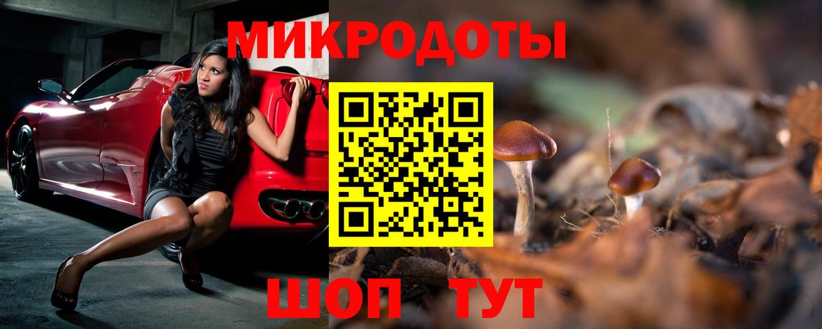 Галлюциногенные грибы Psilocybine cubensis Костомукша